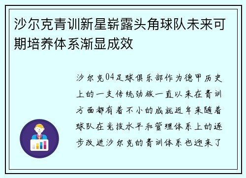 沙尔克青训新星崭露头角球队未来可期培养体系渐显成效