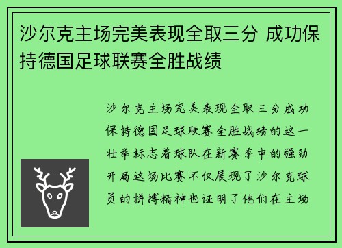 沙尔克主场完美表现全取三分 成功保持德国足球联赛全胜战绩