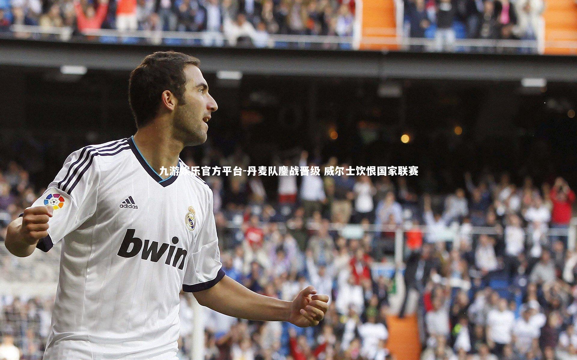 九游娱乐官方平台-丹麦队鏖战晋级 威尔士饮恨国家联赛